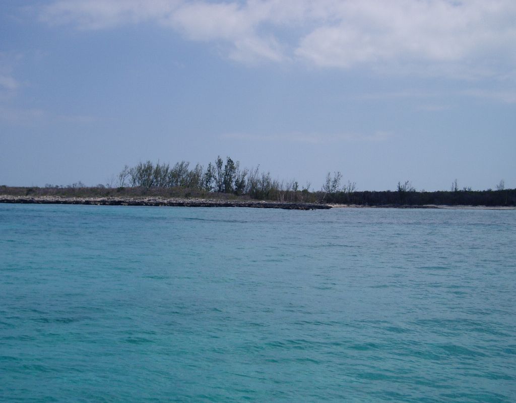 P1010004