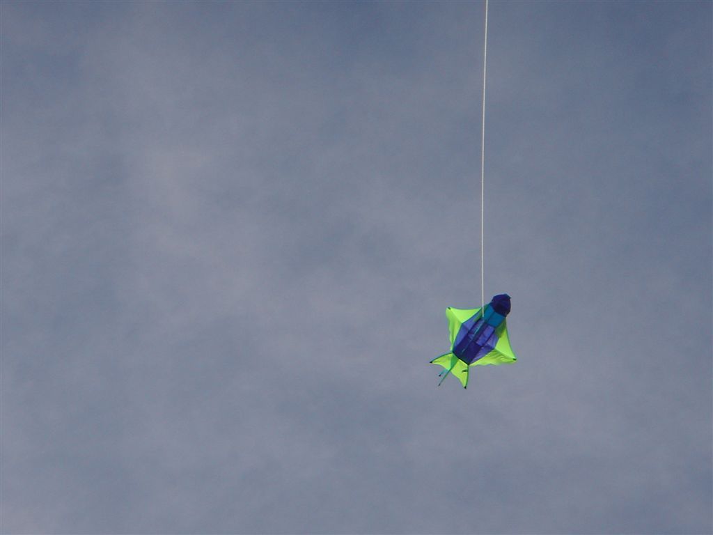 DSC00765