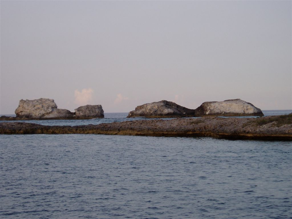 P9100012