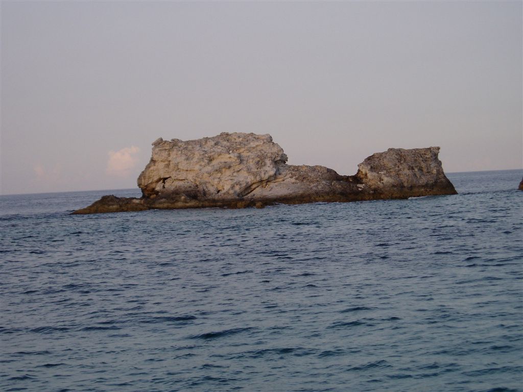 P9100015