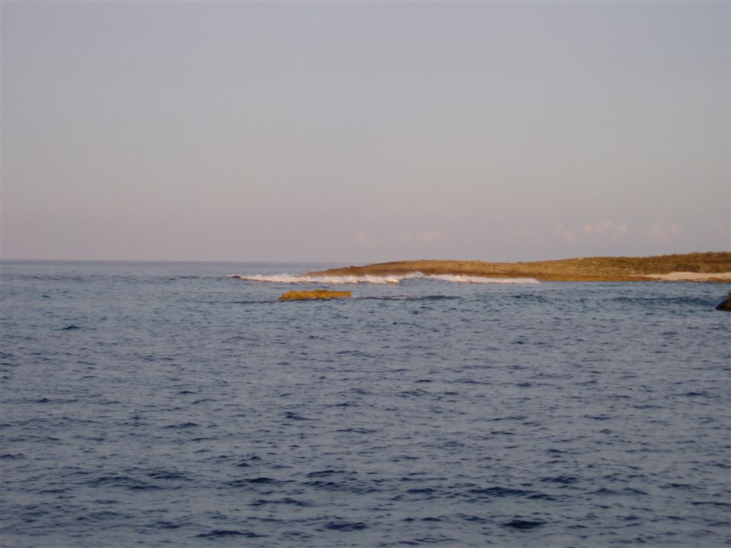 P9100020
