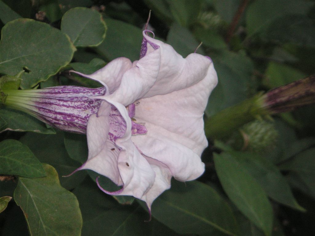 PICT0097