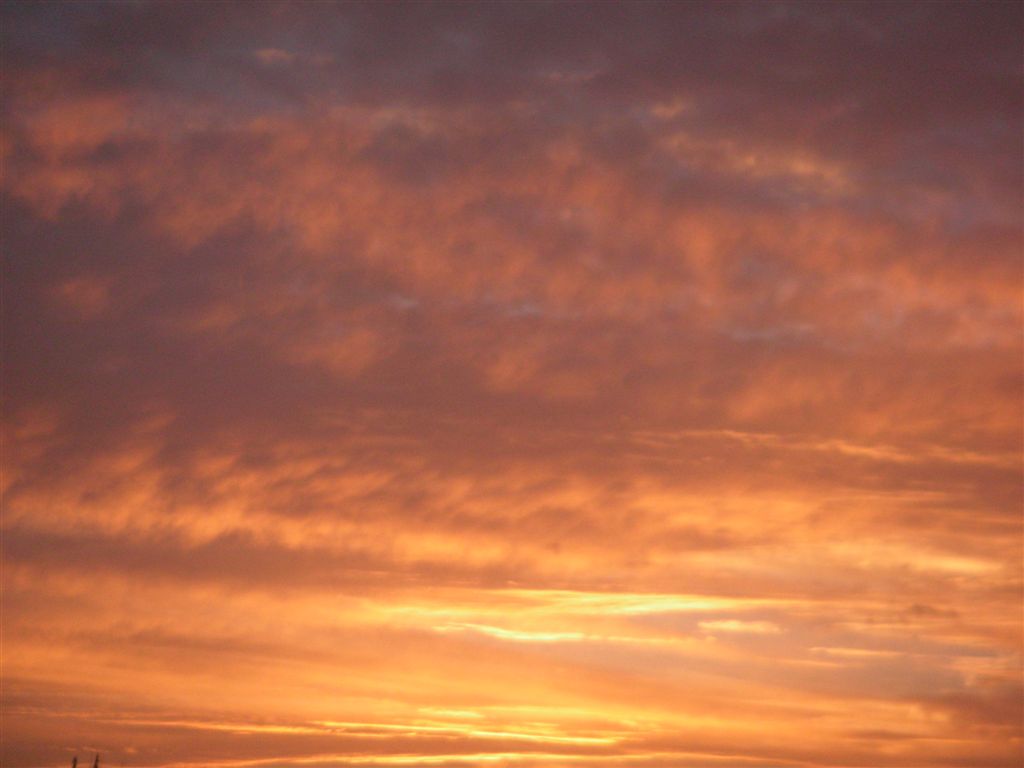 PICT0102