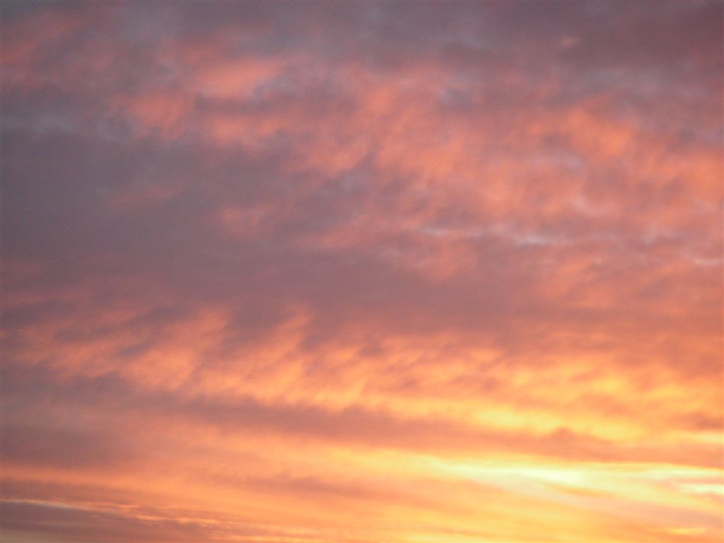 PICT0105