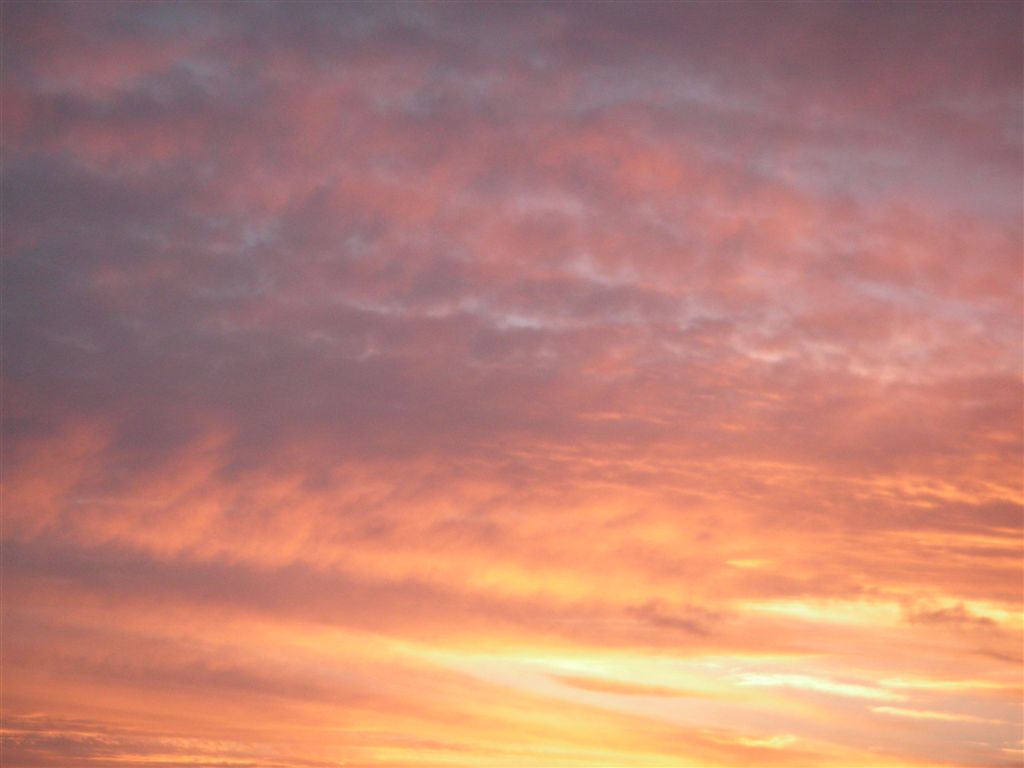 PICT0109