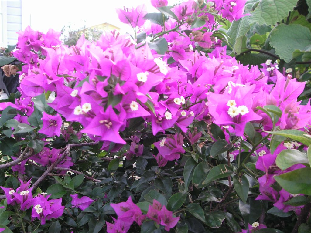 PICT0158