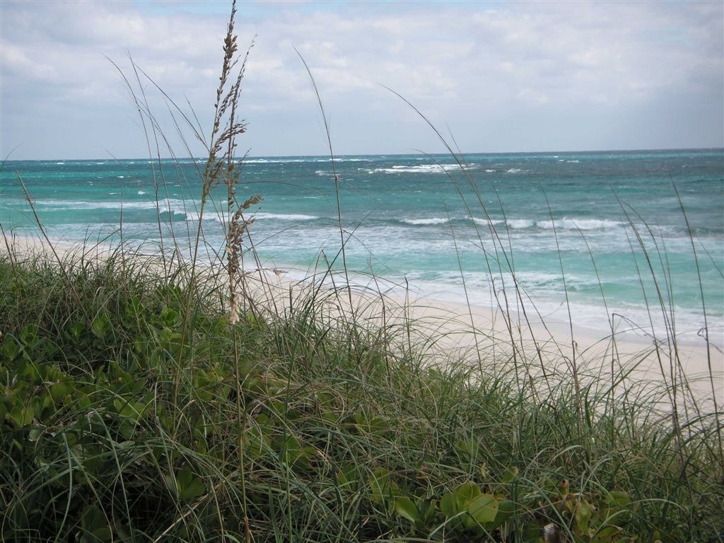 PICT0271
