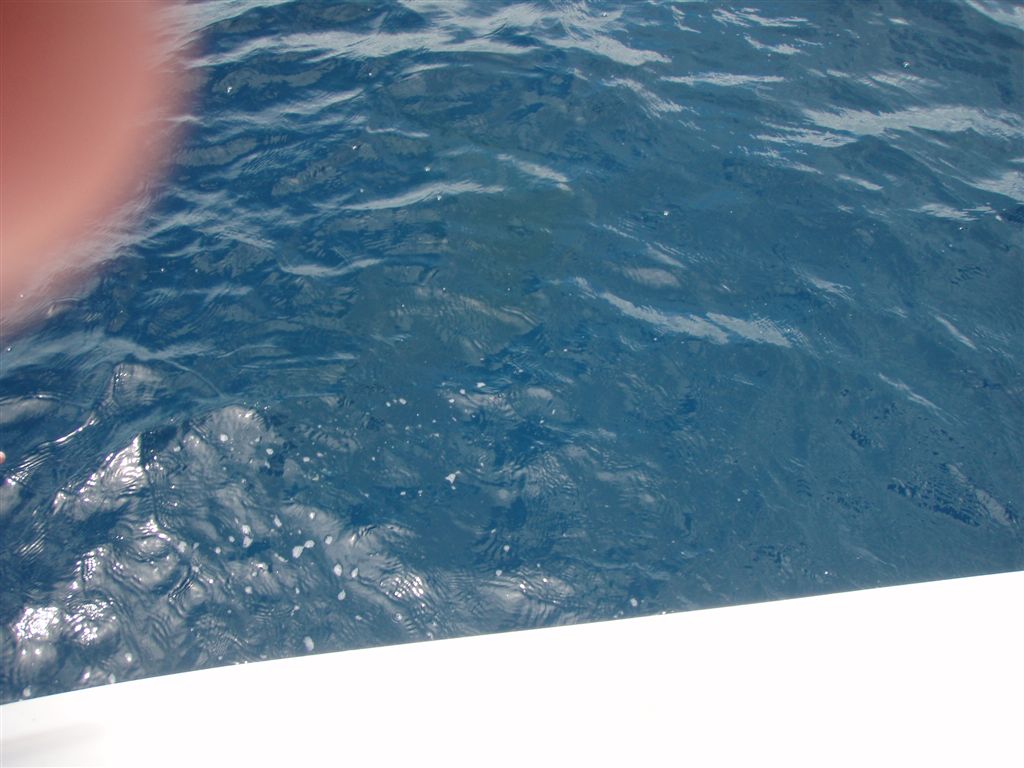 P7220801