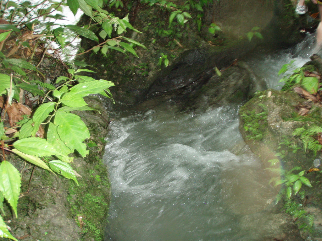 walking the river