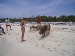P6050055