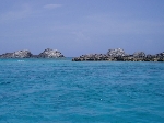 P6050067
