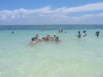 100-0099 IMG