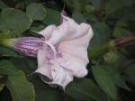 PICT0097