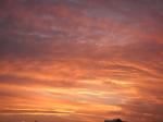 PICT0108