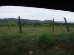 driving